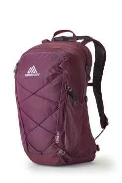 Gregory Kiro 22 Rucksack (amethyst-purple)