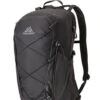 Gregory Kiro 22 Rucksack (obsidian-black)