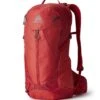 Gregory Miko 15 Rucksack (sumac-red)