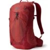 Gregory Miko 20 Rucksack (sumac-red)