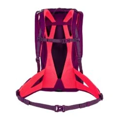 Salewa Alp Trainer 20 Ws Rucksack (dark-purple) -Gregory Exped Geschaft Salewa Alp Trainer 20 Ws Rucksack dark purple D 1262 6870 Bild 2