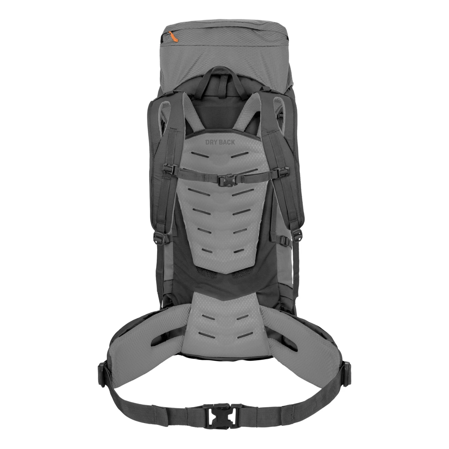 Salewa Alptrek 65+10 Pro Rucksack (quiet-shade) 4 Salewa Alptrek 65+10 Pro Rucksack (quiet-shade) – Bild 2